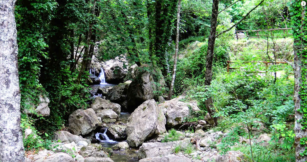 Oasi Wwf Di Morigerati Grotte Del Bussento Foto Video Ed Info Cilentano It