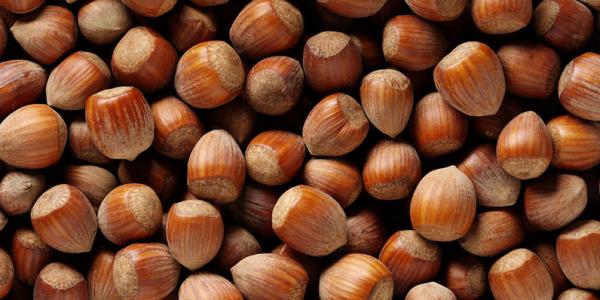 Coldiretti: Regione Campania dichiari stato di calamità per la crisi delle nocciole nocciole generica besana az - Coldiretti: Regione Campania dichiari stato di calamità per la crisi delle nocciole