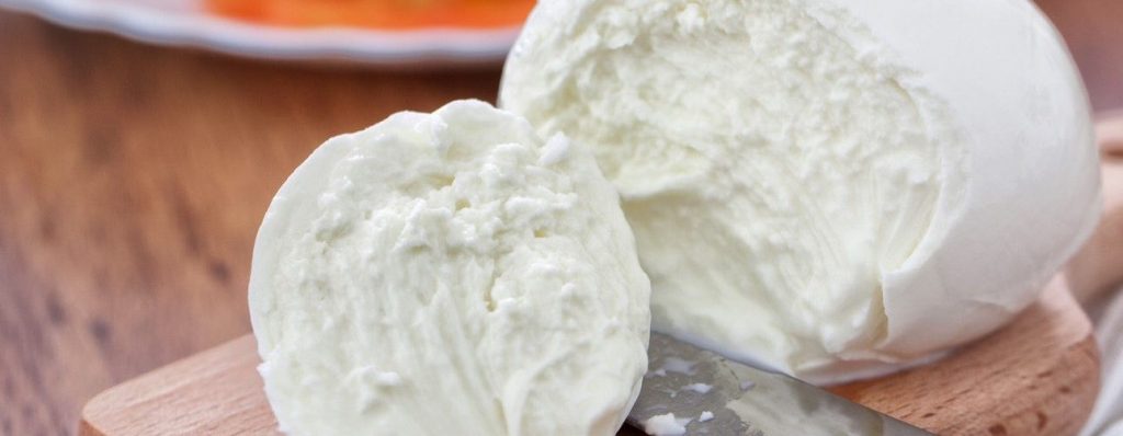 Un nuovo contenitore allunga conservazione della mozzarella mozza 1024x398 - Un nuovo contenitore allunga conservazione della mozzarella