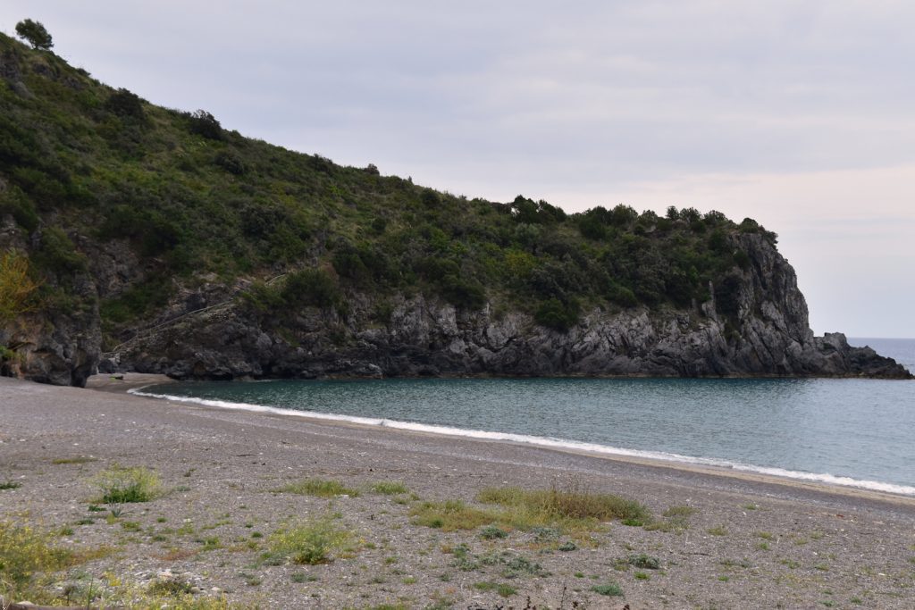 Il puzzle della domenica: Lentiscelle a M. di Camerota lentiscelle 1024x683 - Il puzzle della domenica: Lentiscelle a M. di Camerota