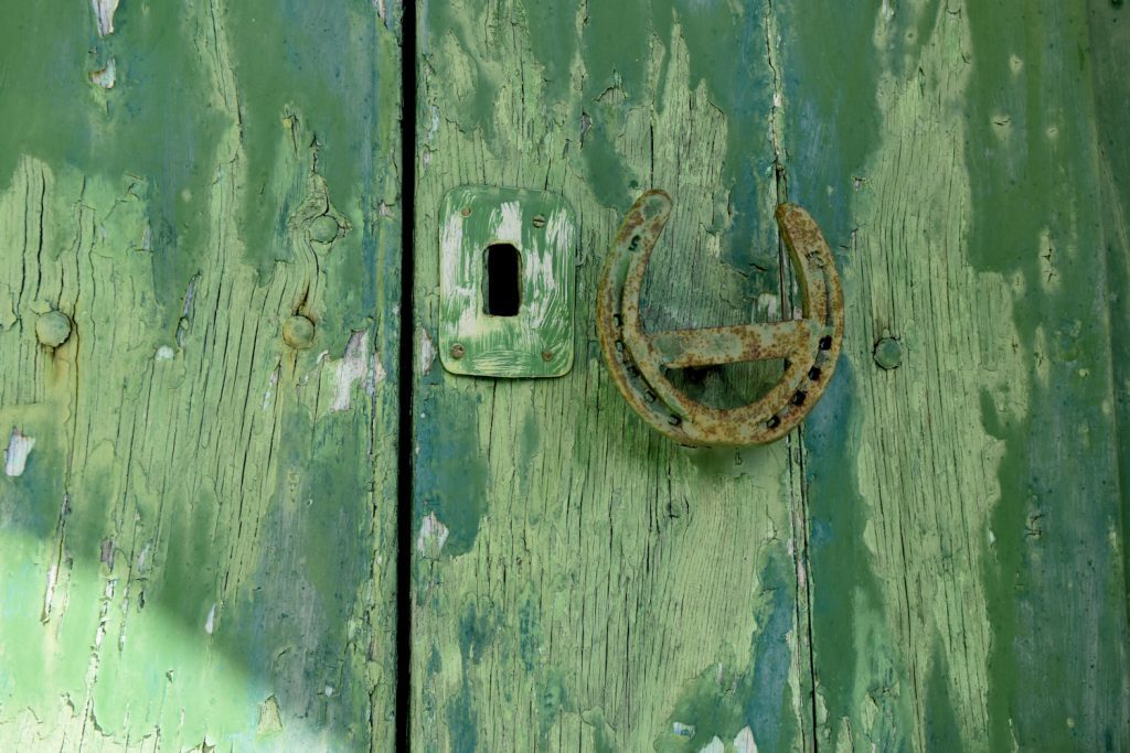 Il puzzle della domenica: portone cilentano portone cilentano 1024x683 - Il puzzle della domenica: portone cilentano