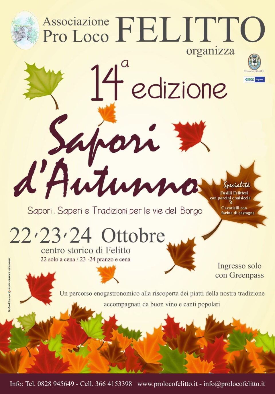 Felitto, 14° Sapori d’autunno: il programma - dal 22 al 24/10/21 242590119 4565231310206092 4810818737976262206 n 960x1373 - Felitto, 14° Sapori d’autunno: il programma - dal 22 al 24/10/21