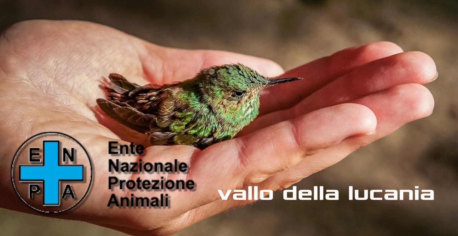 enpa vallo