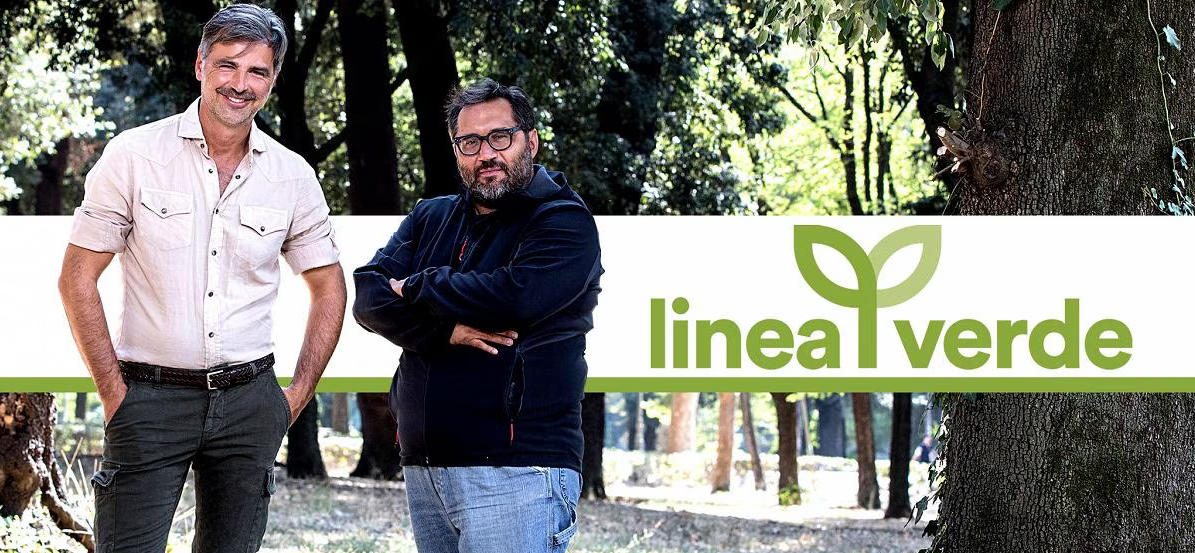 linea verde